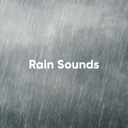 Rain Sounds: The Definitive Collection - White Noise Collectors
