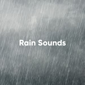 Rain Sounds: The Definitive Collection - White Noise Collectors