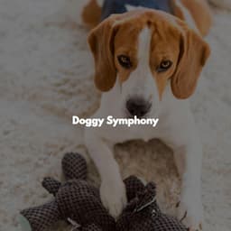 Doggy Symphony - Descansar Musica