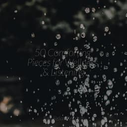 50 Comforting Pieces for Wellness & Listening - Pro Sound Effects Library
