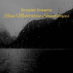 Droplet Dreams: Rain Meditation Soundscapes - Soft Sounds