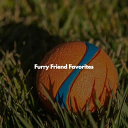 Furry Friend Favorites - Música de Trabajo
