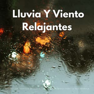 Meditación: Sonidos De Lluvia Y Viento Relajantes Para La Paz Interior - Reiki Consorte de Curación