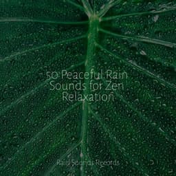 50 Peaceful Rain Sounds for Zen Relaxation - Rain For Deep Sleep