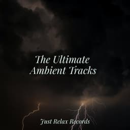 The Ultimate Ambient Tracks - Musica Relajante