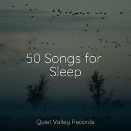 50 Songs for Sleep - Pro Sound Effects Library
