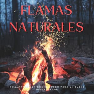 Relajantes Flamas Naturales: Relajantes Sonidos De Fuego Para Un Sueño Restaurador - Sonidos de Fuego para Dormir