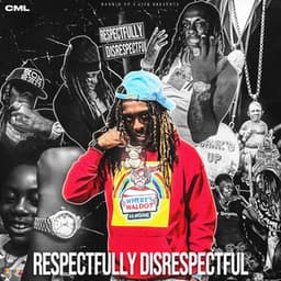 Respectfully Disrespectful - C.M.L.