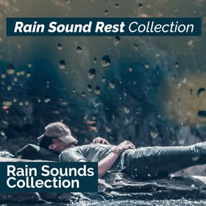 Rain Sound Rest Collection - Rain Sounds Collection