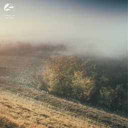 Piano Resonance In Nature - Soothing Ambient