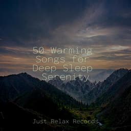 50 Warming Songs for Deep Sleep Serenity - Relaxamento