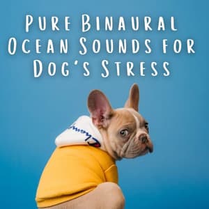 Pure Binaural Ocean Sounds for Dog's Stress - Binaural Shapers