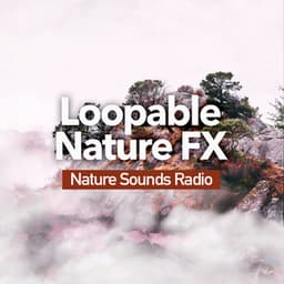 Loopable Nature FX - Nature Sounds Radio