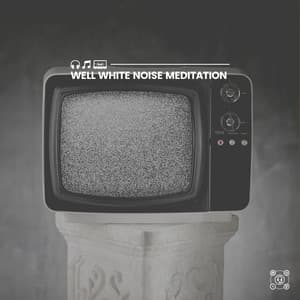Well White Noise Meditation - Sounds of Nature White Noise for Mindfulness, Meditation and Relaxation