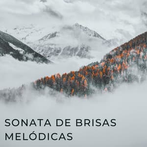 Sonata De Brisas Melódicas - Aire relajante