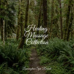 Healing Massage Collection - Thunder Storm