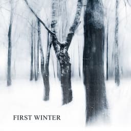 First Winter - Lonely Ambition
