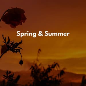 Work and Travel Music 2023 - Musica para Dormir Jazz