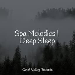 Spa Melodies | Deep Sleep - Wave Sound Group