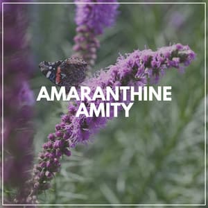 Amaranthine Amity - Relaxcation