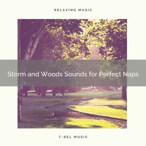 Storm and Woods Sounds for Perfect Naps - Deep Rain Sampling