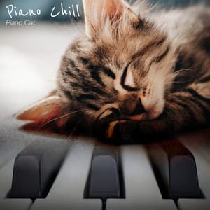 Piano Chill - Piano Cat