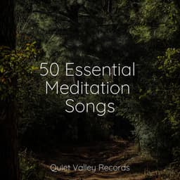 50 Essential Meditation Songs - Binaural Beats Brainwave Entrainment
