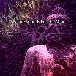 65 Pure Sounds For The Mind - Zen Meditate