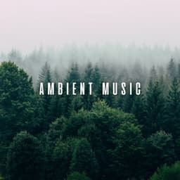 Ambient Music: Chill Bird Serenade for Therapeutic Massage - Lights From A Distance