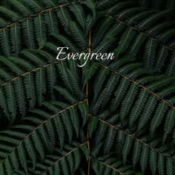 Evergreen - Natural Samples
