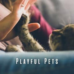 Playful Pets: Chill Music for Active Minds - Happy Playlisted Music