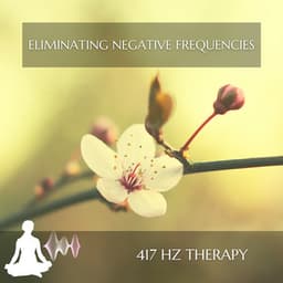 Eliminating Negative Frequencies - 417 Hz Therapy