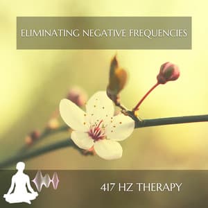 Eliminating Negative Frequencies - 417 Hz Therapy