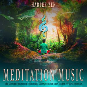Meditation Music: Bird and Forest Sounds for Stress Relief and Spa Music for Sleep, Anxiety and Depression Help - Best Relaxing SPA Music