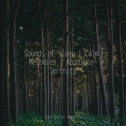 Sounds of Sleep | Calm Melodies | Absolute Serenity - Ambient