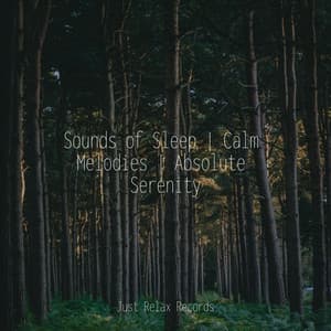 Sounds of Sleep | Calm Melodies | Absolute Serenity - Ambient