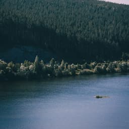 Dulce ruido rosa - Ruido Blanco Tranquilo