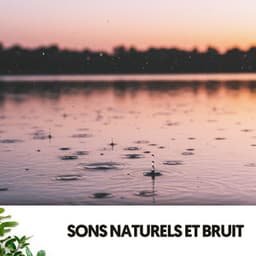 Sons Naturels et Bruit : Gouttes de Paix - Relajacion