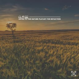 Listen to This Nature Playlist for Reflection - Natures Orchestra