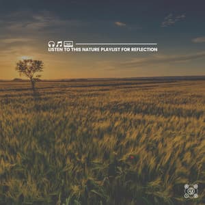 Listen to This Nature Playlist for Reflection - Natures Orchestra