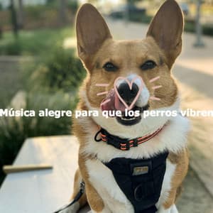 Música alegre para que los perros vibren - Easy Jazz Listening