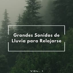 Grandes Sonidos De Lluvia Para Relajarse Vol. 1 - Ricky sonido de lluvia