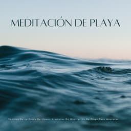 Sonidos De La Caida De Lluvia: Armonías De Meditación De Playa Para Mascotas - Frutas de lluvia