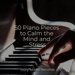 50 Piano Pieces to Calm the Mind and Stress - Relaxing Instrumental Jazz Academy