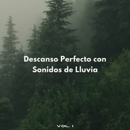 Descanso Perfecto Con Sonidos De Lluvia Vol. 1 - Experiencia de sonido de lluvia