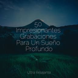 50 Impresionantes Grabaciones Para Un Sueño Profundo - Musica Relajante Specialistas