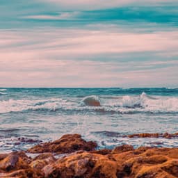 50 Ocean Sounds For Sleep: Peaceful Sleep - Seascapers