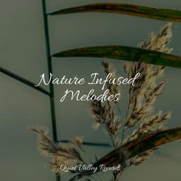 Nature Infused Melodies - Master Meditação