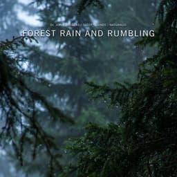 Forest Rain and Rumbling - Dr. John Douglas