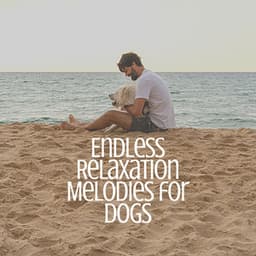 Endless Relaxation Melodies for Dogs - Music for Calming Dogs